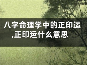 八字命理学中的正印运,正印运什么意思