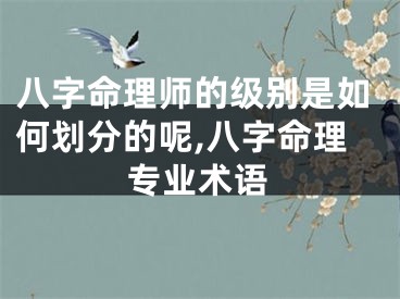 八字命理师的级别是如何划分的呢,八字命理专业术语