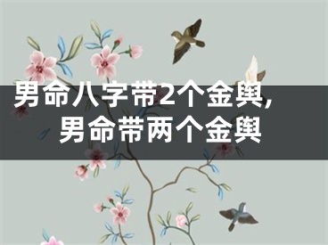 男命八字带2个金舆,男命带两个金舆