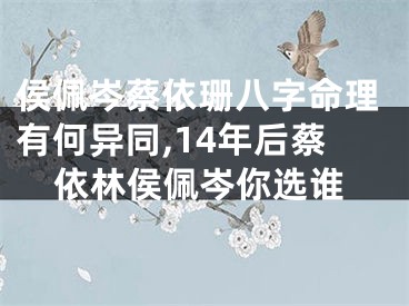 侯佩岑蔡依珊八字命理有何异同,14年后蔡依林侯佩岑你选谁