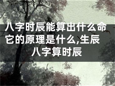 八字时辰能算出什么命它的原理是什么,生辰八字算时辰