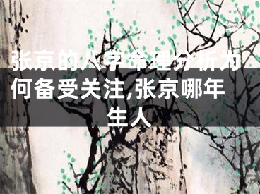 张京的八字命理分析为何备受关注,张京哪年生人