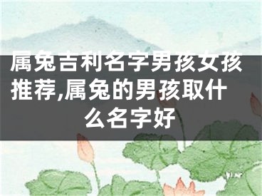 属兔吉利名字男孩女孩推荐,属兔的男孩取什么名字好