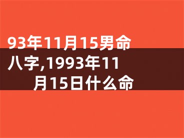 93年11月15男命八字,1993年11月15日什么命