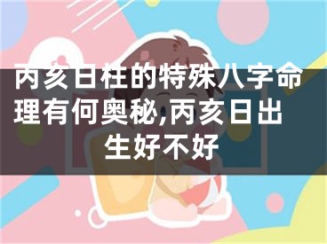 丙亥日柱的特殊八字命理有何奥秘,丙亥日出生好不好