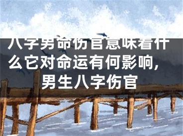 八字男命伤官意味着什么它对命运有何影响,男生八字伤官