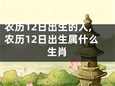 农历12日出生的人,农历12日出生属什么生肖