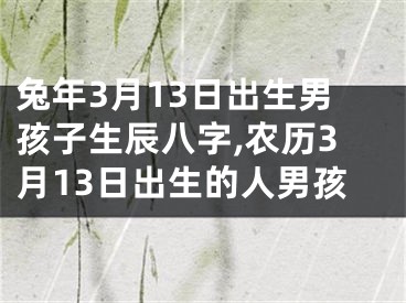 兔年3月13日出生男孩子生辰八字,农历3月13日出生的人男孩