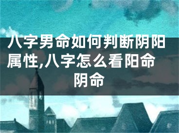 八字男命如何判断阴阳属性,八字怎么看阳命阴命