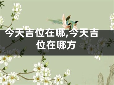 今天吉位在哪,今天吉位在哪方