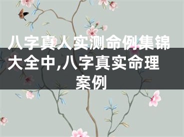 八字真人实测命例集锦大全中,八字真实命理案例