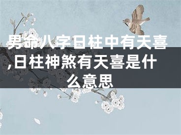 男命八字日柱中有天喜,日柱神煞有天喜是什么意思