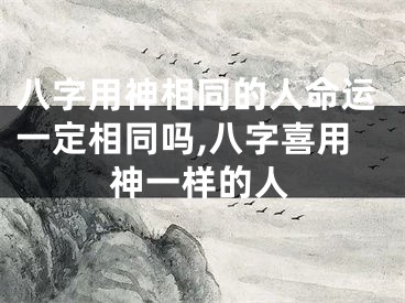 八字用神相同的人命运一定相同吗,八字喜用神一样的人