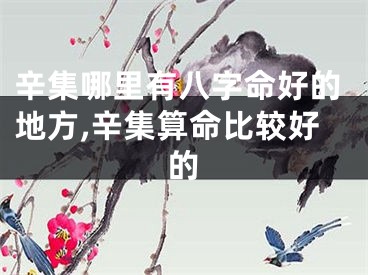 辛集哪里有八字命好的地方,辛集算命比较好的