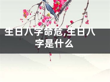 生日八字命危,生日八字是什么