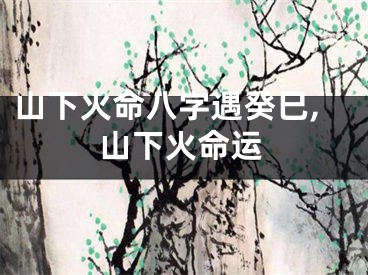 山下火命八字遇癸巳,山下火命运