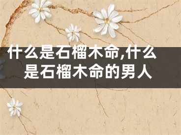 什么是石榴木命,什么是石榴木命的男人