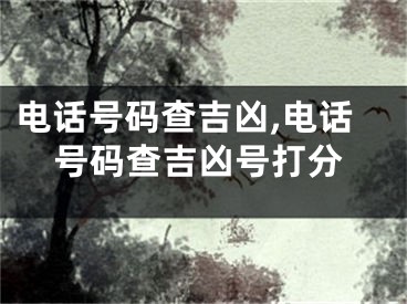 电话号码查吉凶,电话号码查吉凶号打分