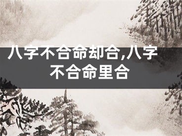 八字不合命却合,八字不合命里合
