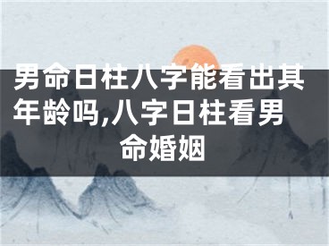 男命日柱八字能看出其年龄吗,八字日柱看男命婚姻