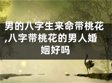 男的八字生来命带桃花,八字带桃花的男人婚姻好吗