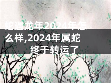 蛇遇龙年2024年怎么样,2024年属蛇终于转运了