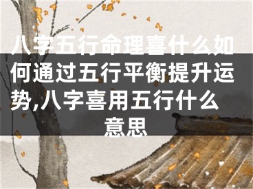 八字五行命理喜什么如何通过五行平衡提升运势,八字喜用五行什么意思