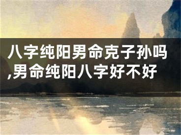 八字纯阳男命克子孙吗,男命纯阳八字好不好