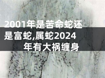 2001年是苦命蛇还是富蛇,属蛇2024年有大祸缠身