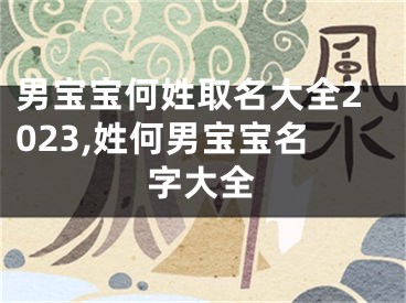 男宝宝何姓取名大全2023,姓何男宝宝名字大全