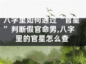 八字里如何通过“官星”判断假官命男,八字里的官星怎么查