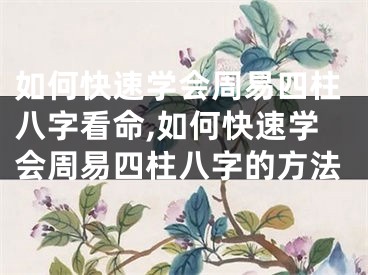 如何快速学会周易四柱八字看命,如何快速学会周易四柱八字的方法