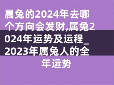 属兔的2024年去哪个方向会发财,属兔2024年运势及运程_2023年属兔人的全年运势
