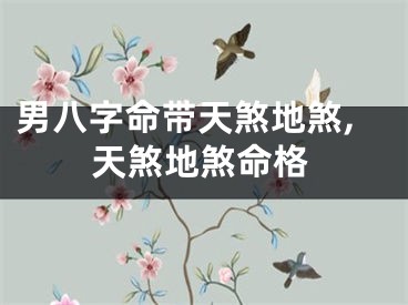 男八字命带天煞地煞,天煞地煞命格