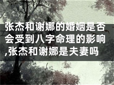 张杰和谢娜的婚姻是否会受到八字命理的影响,张杰和谢娜是夫妻吗