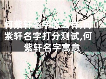 何紫轩名字怎么样,何紫轩名字打分测试,何紫轩名字寓意