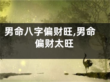男命八字偏财旺,男命偏财太旺