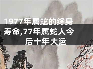 1977年属蛇的终身寿命,77年属蛇人今后十年大运