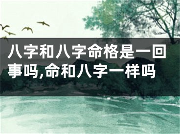 八字和八字命格是一回事吗,命和八字一样吗