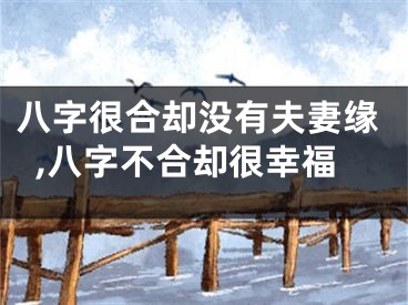 八字很合却没有夫妻缘,八字不合却很幸福