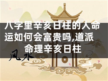 八字里辛亥日柱的人命运如何会富贵吗,道派命理辛亥日柱