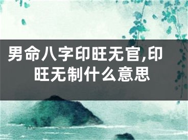 男命八字印旺无官,印旺无制什么意思