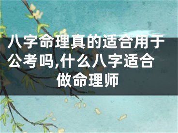 八字命理真的适合用于公考吗,什么八字适合做命理师