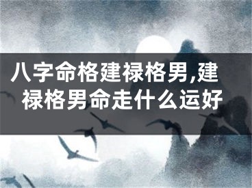 八字命格建禄格男,建禄格男命走什么运好