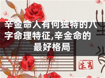 辛金命人有何独特的八字命理特征,辛金命的最好格局