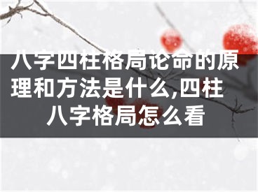 八字四柱格局论命的原理和方法是什么,四柱八字格局怎么看