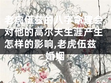 老虎伍兹的八字命理会对他的高尔夫生涯产生怎样的影响,老虎伍兹婚姻