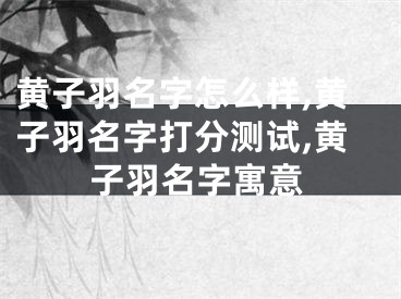 黄子羽名字怎么样,黄子羽名字打分测试,黄子羽名字寓意
