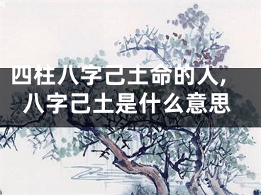 四柱八字己土命的人,八字己土是什么意思