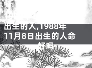 1988年11月8日出生的人,1988年11月8日出生的人命好吗